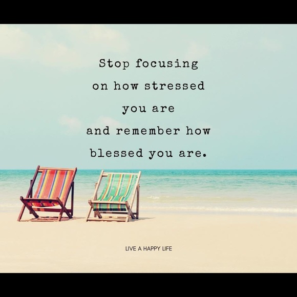 Meet your Posher, Leslie - Picture 3 of 4